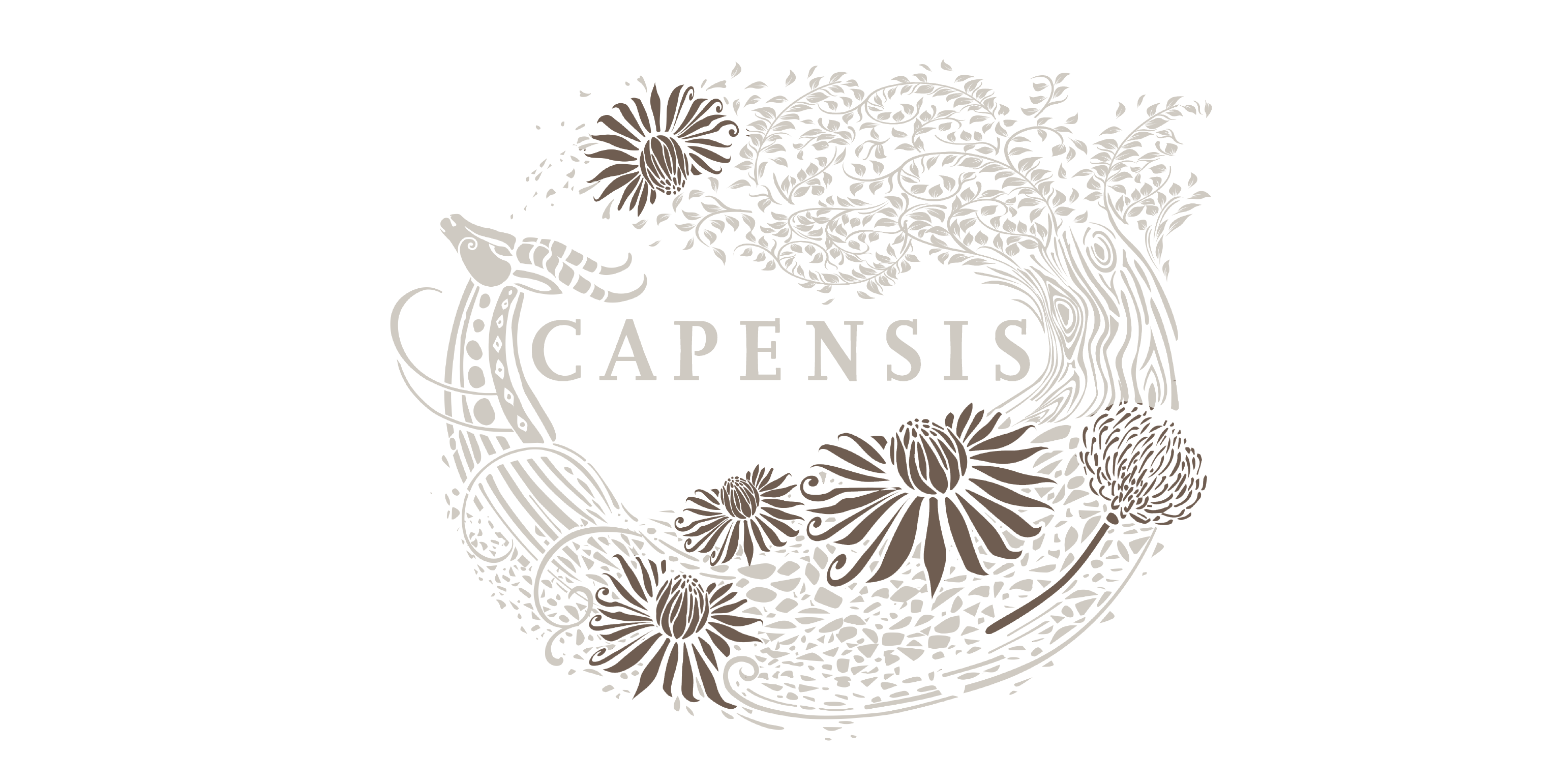 Capensis label with King Protea highlighted