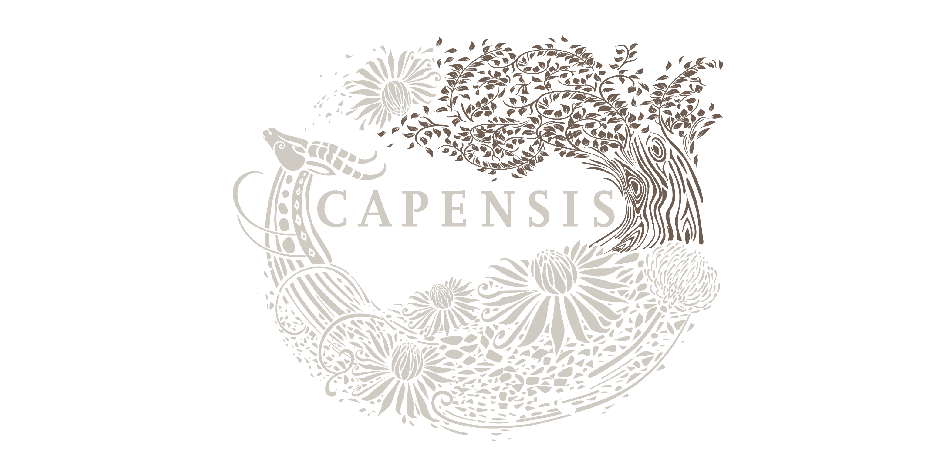 Capensis label with Marula Tree highlighted