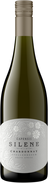 Capensis Silene Chardonnay bottle shot