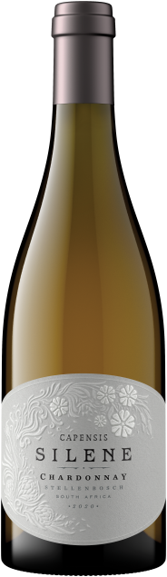 Capensis Silene Chardonnay bottle shot