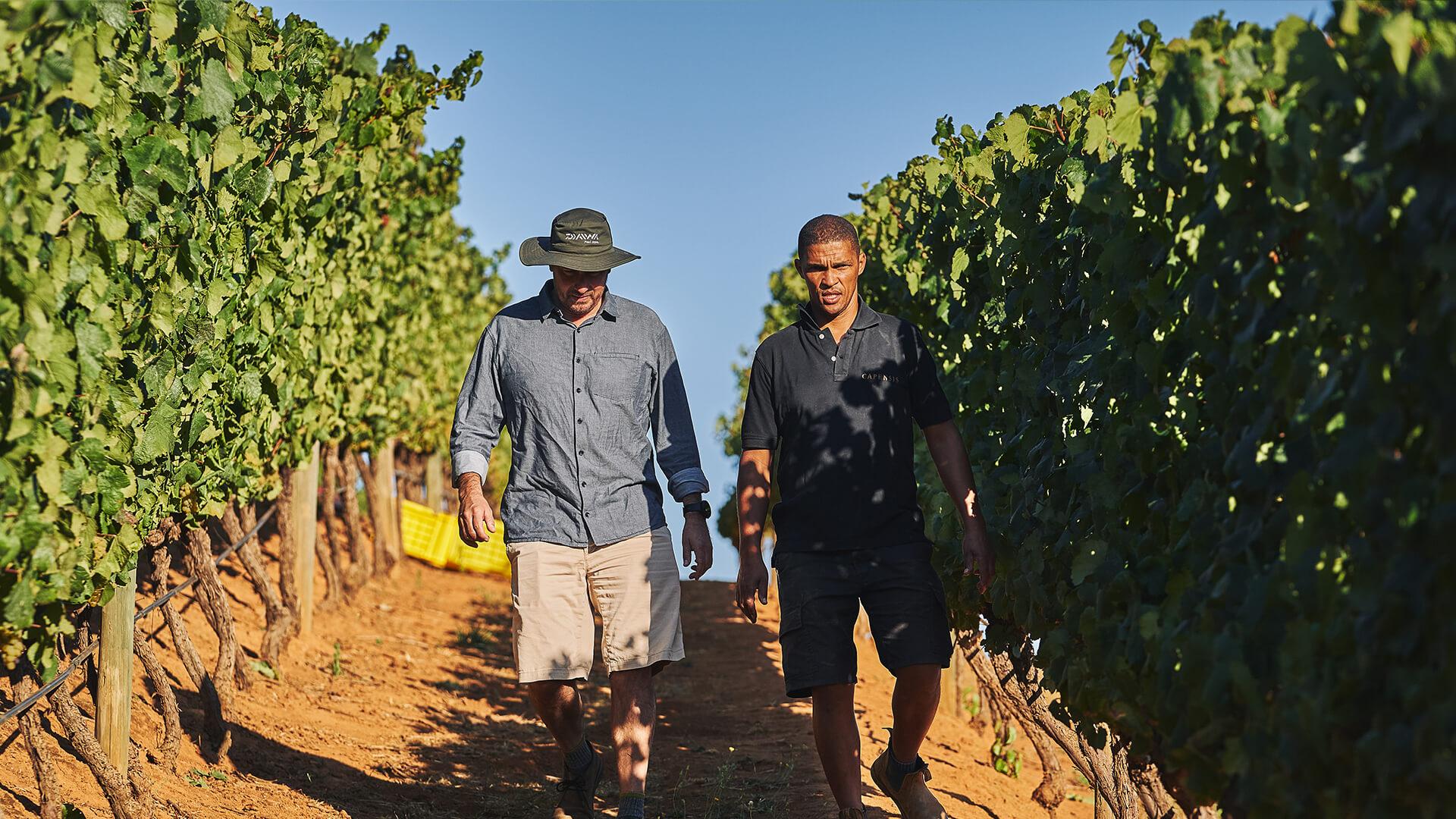 Graham Weerts and Cedrick Delport walking in a vineyards